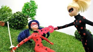 Cat Noir ayuda a Miraculous Ladybug. Vídeos para niñas.