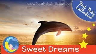 LULLABIES Lullaby For Babies To Go To Sleep GROWN UPS Adults  & Baby Lullaby Songs Go To Sleep Music