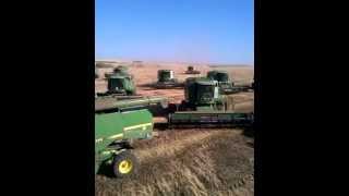 Сбор комбайнов John Deere на поле.