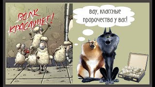 Хищными волками восхищается церковь!