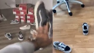 Throwing Your Vans Is The New Viral Sensation #VansChallenge