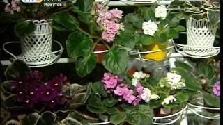 Выпуск от 02.03.2017 (6:35), "Вести-Иркутск"
