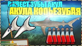 РР3 АКУЛА КОПЬЕЗУБАЯ Зуб акулы копьезубой