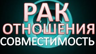 рак совместимость гороскоп отношения со знаками зодиака