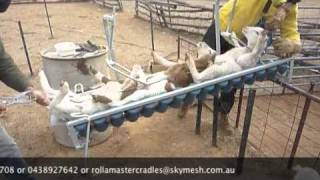 The Rollamaster in action