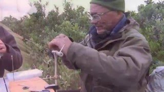 Нахлыст в Заполярье
