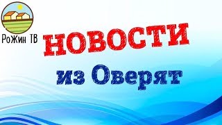 НОВОСТИ ? ИЗ ОВЕРЯТ?, ЧТО СО СВИНОМАТКОЙ?⁉️