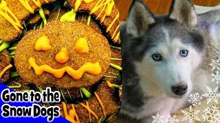 PUMPKIN AND PEANUT BUTTER DOG TREATS | DIY Dog Treats Halloween | Snow Dogs Snacks 14