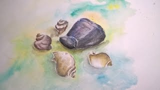 Урок рисования для начинающих, пишем акварелью и гуашью ракушки