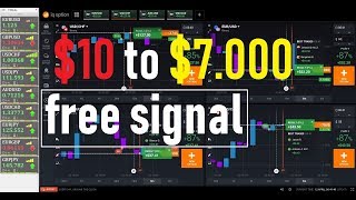 free signal iq option strategy 2019 - vfxalert - king trader