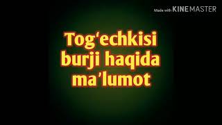 Togʻechkisi burji haqida/Тогэчкиси буржи хакида