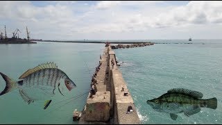 Рыбалка на Черном море. Черноморский карась