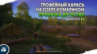 Прокачка до 20 уровня . Озеро Комариное