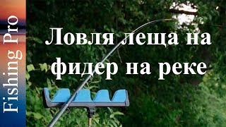 Ловля леща на фидер на реке