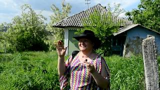 Моя Родина - Молдова.