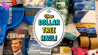 DOLLAR TREE HAUL!  FUN Finds! February 3, 2020 | LeighsHome