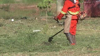 Epidemia de dengue faz prefeitura de Bauru limpar mais de 515 mil m² de terrenos