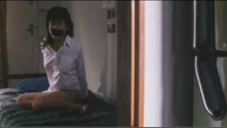 Perfect Education: 40 Days of Love (Japan Flix trailer)