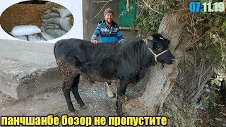 гов бозори шахринав чептура панчшанбе бозор 07 ноября