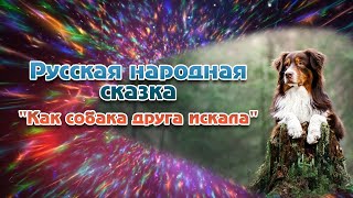 Сказка для детей. Как собака друга искала.