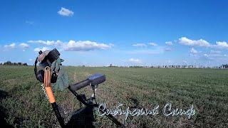 Поиск Царских Монет Minelab Epxlorer Se Professional Garrett ACE 350 с катушкой  DETECH Ultimate 13"