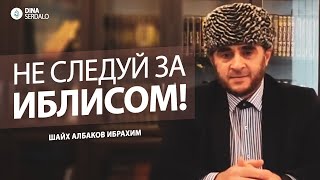 © Албаков Ибрагим - «Иблиcа техь варзар»