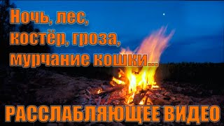 Ночной лес, костёр, гроза и мурчание кошки. Расслабляющее видео. Релакс! 90 мин.