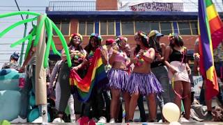 Así se vivió la XIV edición de la marcha Gay