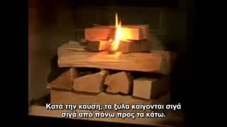 ΟΙΚΟΛΟΓΙΚΟ ΑΝΑΜΑ ΤΖΑΚΙΟΥ