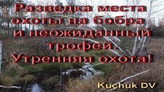 Разведка мест охоты на бобра, неожиданный трофей и охота с Сайгой!