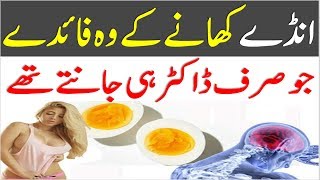 Uble Huye Ande Khane Ke Fayde Aur Nuksan | Eggs Benefits and Side Effects in Urdu