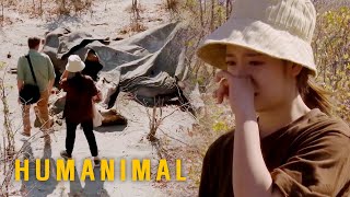 ShinHye Could Only Watch the Animals as They Were Driven to the Corner by humans [Humanimal Ep 5]