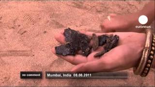 Major oil spill threatens Mumbai coastline - no comment