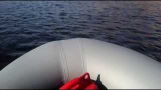 BoatMaster 310K и Raffer 5bms