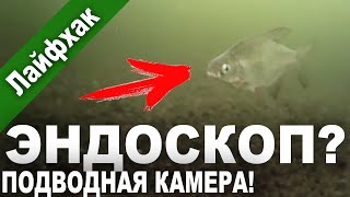 ЧТО МОЖЕТ КИТАЙСКИЙ ЭНДОСКОП на зимней рыбалке. (ПОДВОДНАЯ КАМЕРА за 20$)
