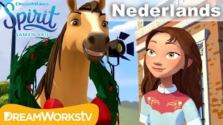 De perfecte kerst | SPIRIT - SAMEN VRIJ