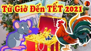 2 CON GIÁP Từ Giờ Đến Tết GIÀU NHANH CHÓNG MẶT, TÀI LỘC Bùng Phát TIỀN TỶ Cầm Tay