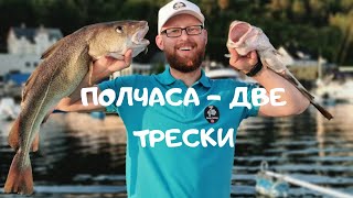 Треска чуть не утащила меня в воду!!!! Рыбалка в Норвегии! Ловля трески на креветку! Морская рыбалка