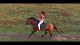 Аэросъёмка верховой прогулки, девушка на коне, лошадь на природе, съёмка с квадрокоптера.