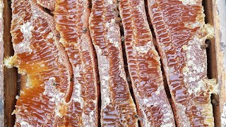 Extracting Honey From The Wax Without A Honey Spinner #honey #beekeeping #extractinghoney