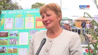 "Агровести". "Свенская ярмарка-2017".  (эфир 02.09.2017)