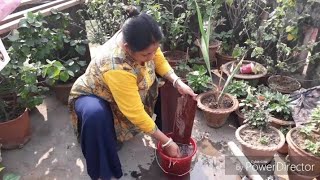 এতো অল্পতেই বাবা এতো খুশি হবে ভাবতে পারিনি ।