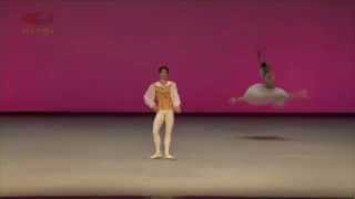 Coppelia Grand Pas de Deux Machi Muto and Frank van Tongeren