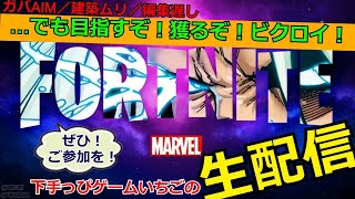 フォートナイト配信26 #フォトナ界に超下手くそ降臨！#ビクロイっておいしいの？