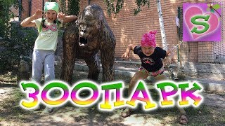ЗООПАРК ?Золотой фазан СМЕШНЫЕ ОБЕЗЬЯНЫ? и ДИКООБРАЗЫ our first LIVESTREAM ??in ZOO