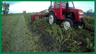 Косим ботву картофеля роторной косилкой Wirax