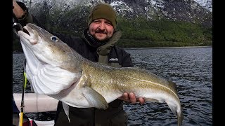 NASZ NAJWIĘKSZY DORSZ [Fjord fishing] NORWEGIA dzień 3