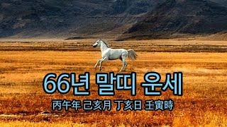 66년 말띠 하반기 운세(정해 일주)