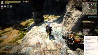 Black Desert. Гигант 42+