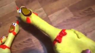 Китайские курицы   игрушки